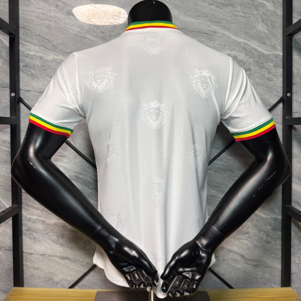 Maillot 25/26 Sénégal white player