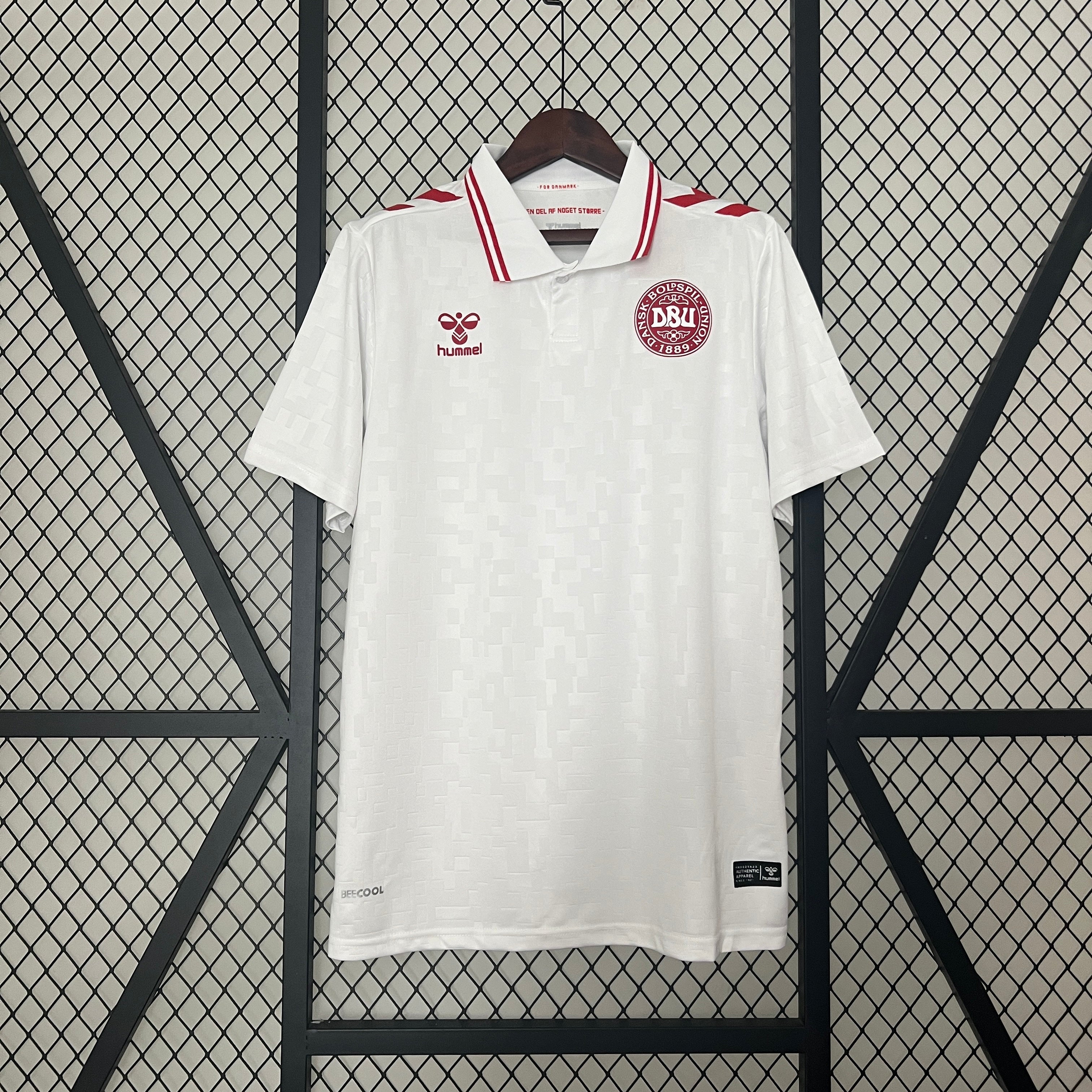 Maillot 2024 Danemark Extérieur