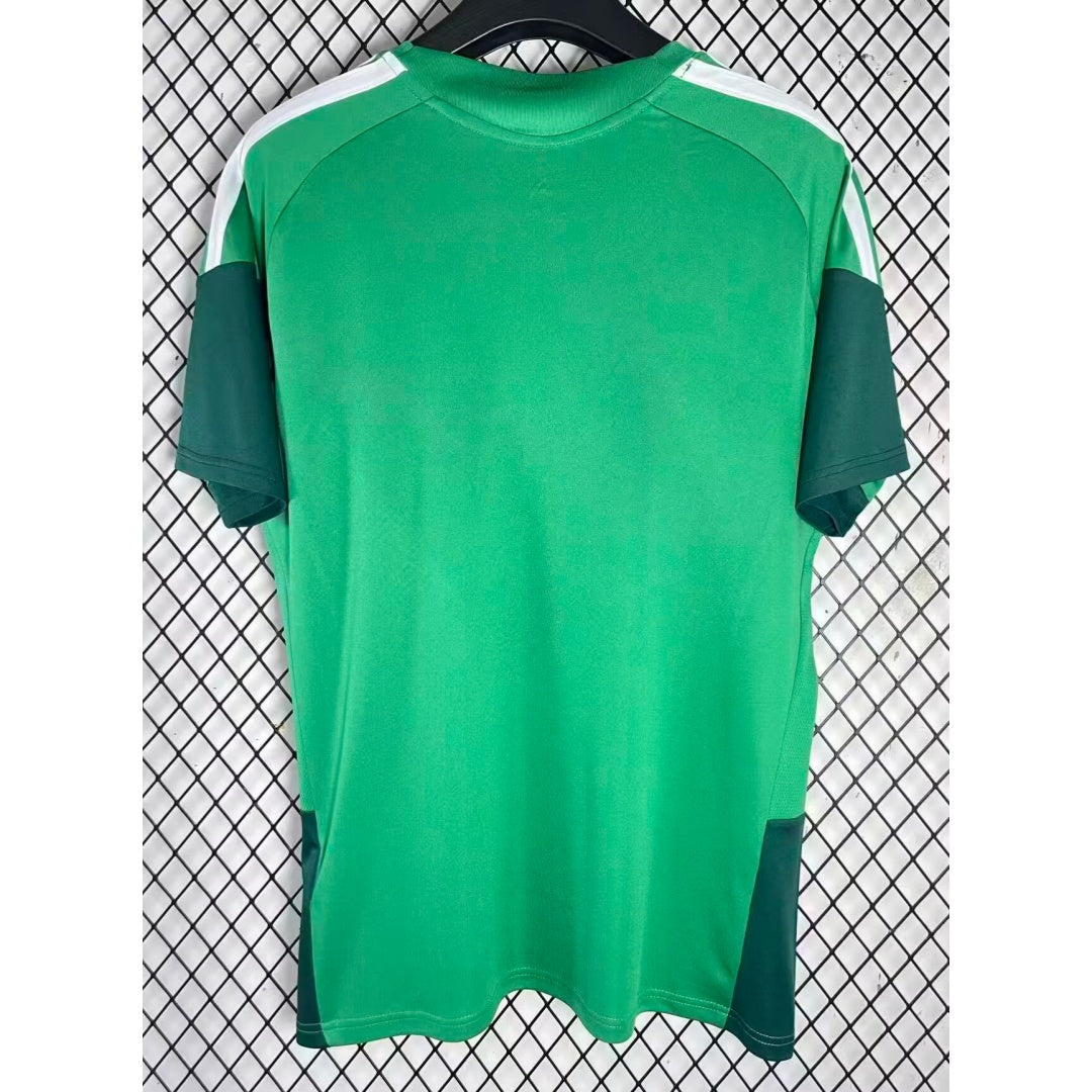 Maillot 25/26 Algérie  Spécial green