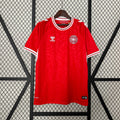 Maillot 2024 Danemark Domicile