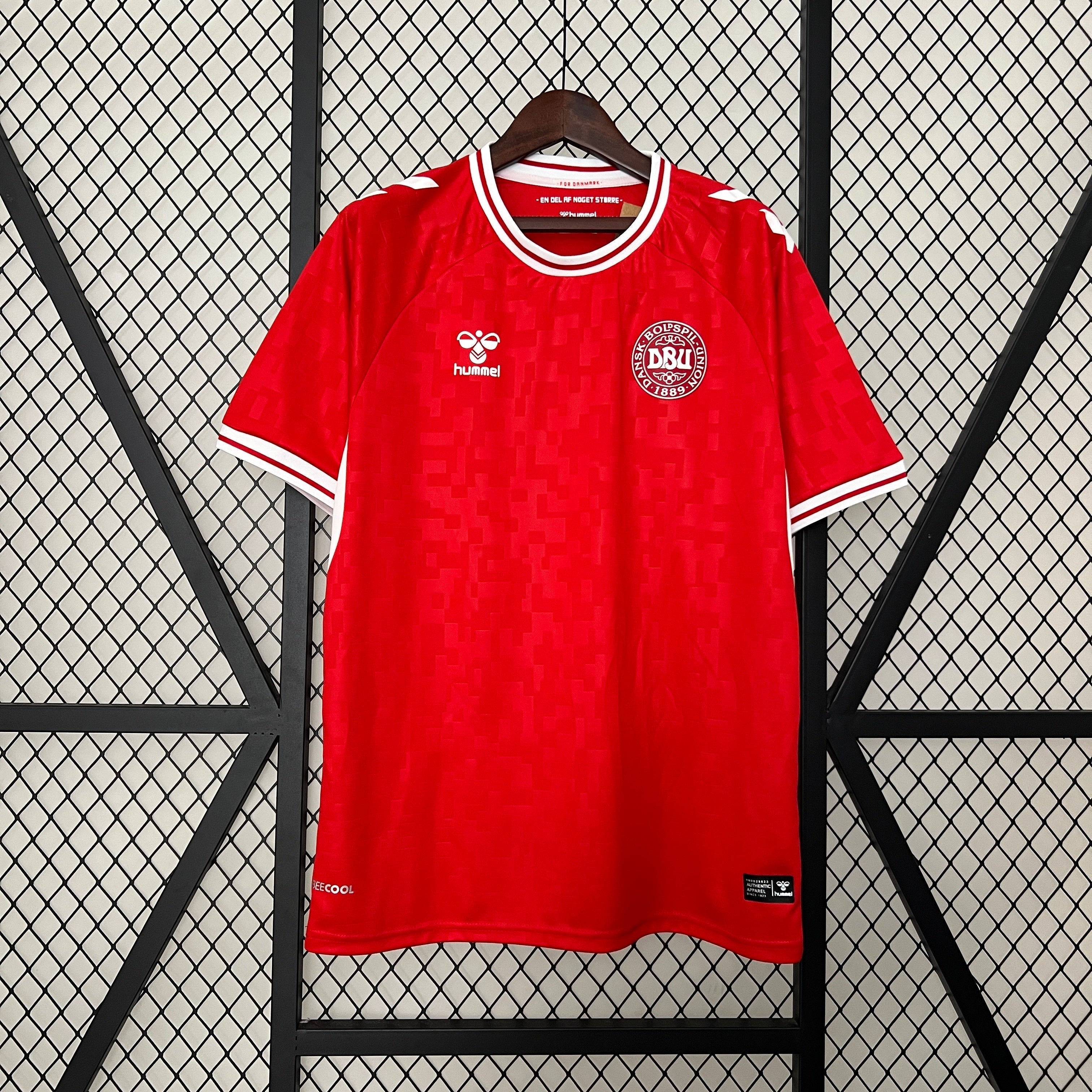 Maillot 2024 Danemark Domicile