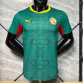 Maillot 25/26 Sénégal green  player