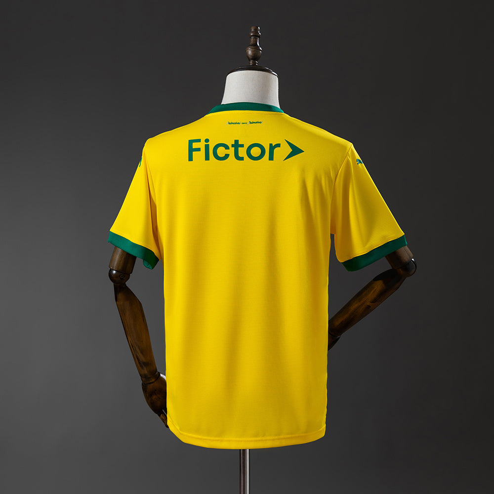 Maillot 25/26 Palmeiras Extérieur Third