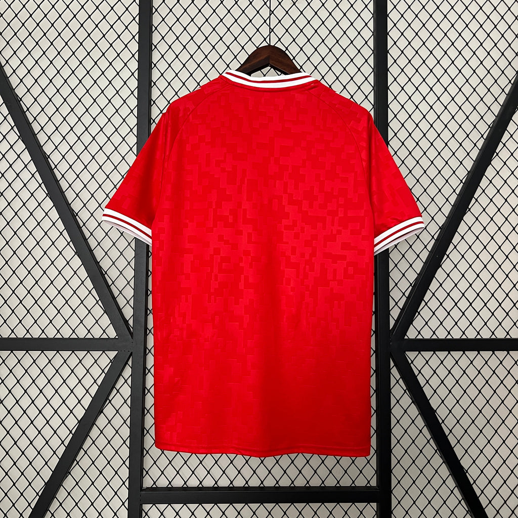 Maillot 2024 Danemark Domicile