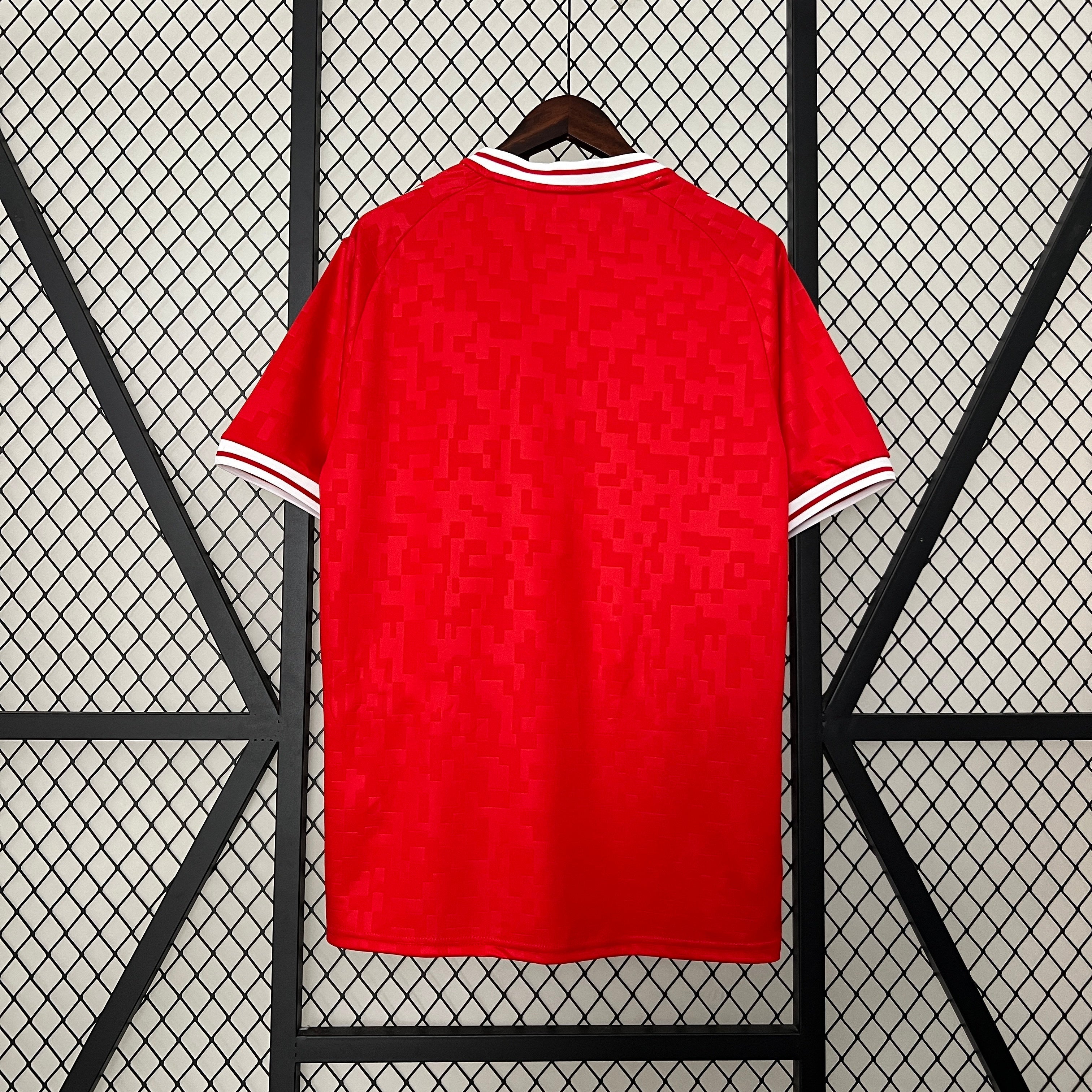 Maillot 2024 Danemark Domicile