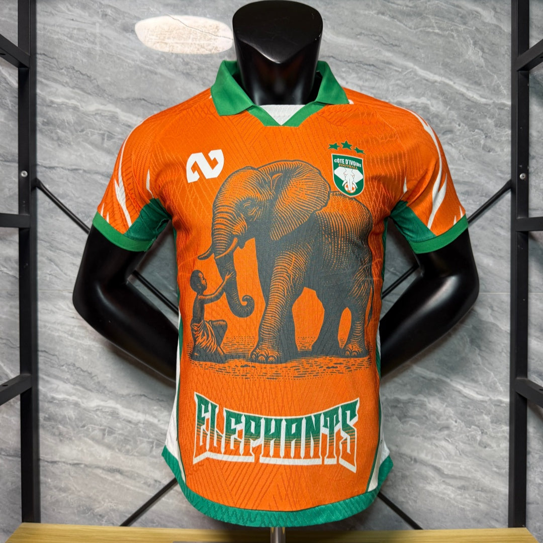 Maillot 25/26 Cote d'lvoire orange player