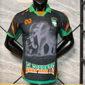 Maillot 25/26 Cote d'lvoire black  player